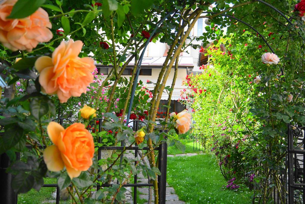Residenza Dutzu-Boutique Hotel Brăila Exterior photo