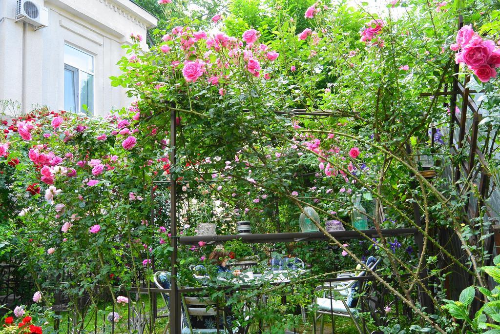 Residenza Dutzu-Boutique Hotel Brăila Exterior photo