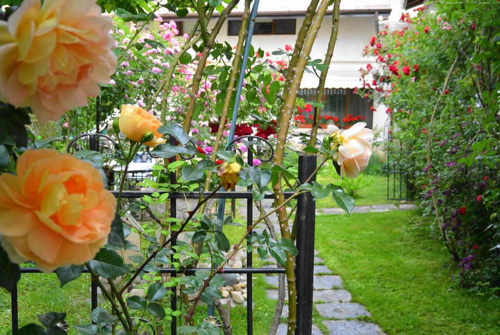 Residenza Dutzu-Boutique Hotel Brăila Exterior photo